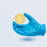 Blue gloved hand holding a 65mm Surface/Contact Plates – Tryptic Soy Agar (TSA).