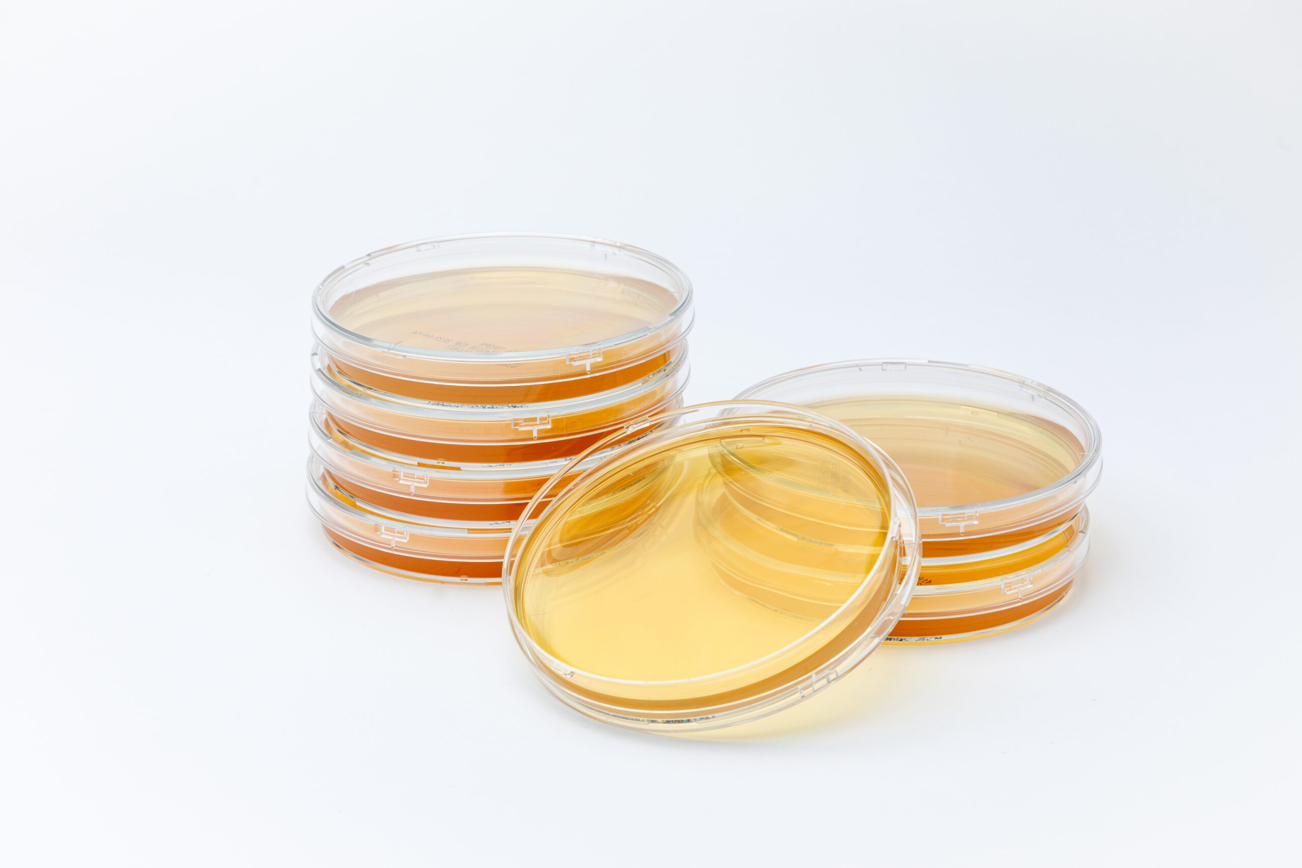 Two stacked 90 mm Tryptic Soy Agar Plates, one with four plates and the other with three. One TSA plate laying at an angle acoss the shorter of the two stacks so the viwer can see inside the 